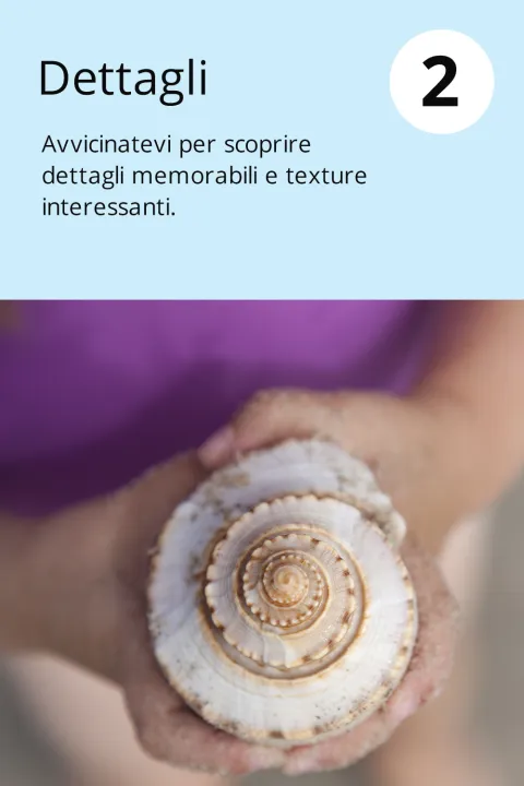 2) Dettagli      Avvicinatevi per scoprire dettagli memorabili e texture interessanti.